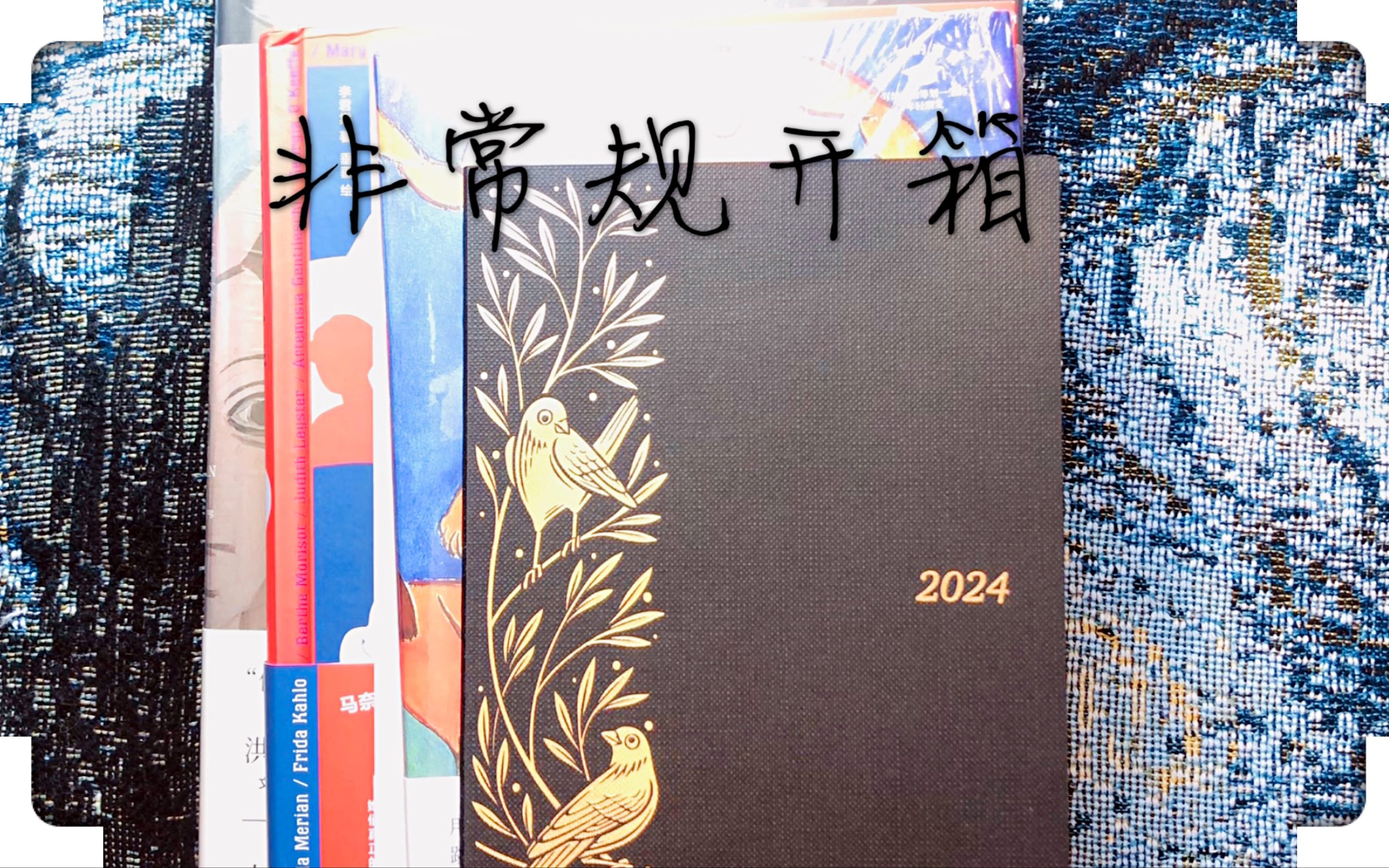 [图]非常规开箱：paper mood2024 一日一页 ｜ 艺术类书籍 ｜人类学书籍