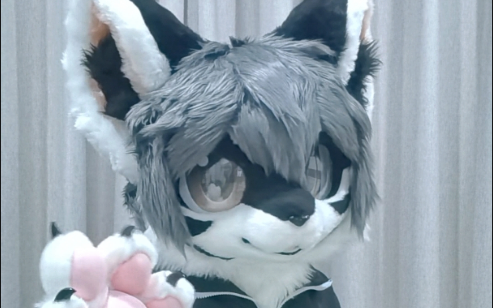 【兽装fursuit】箜月的半装展示哔哩哔哩bilibili