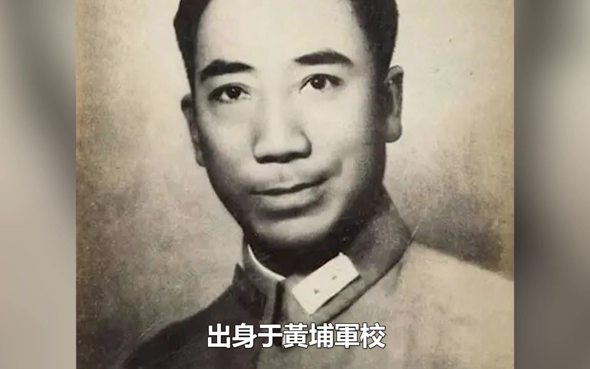 四眼龙向华炎向华强称霸香港的强大后盾扶吕乐上位的幕后人一己之力