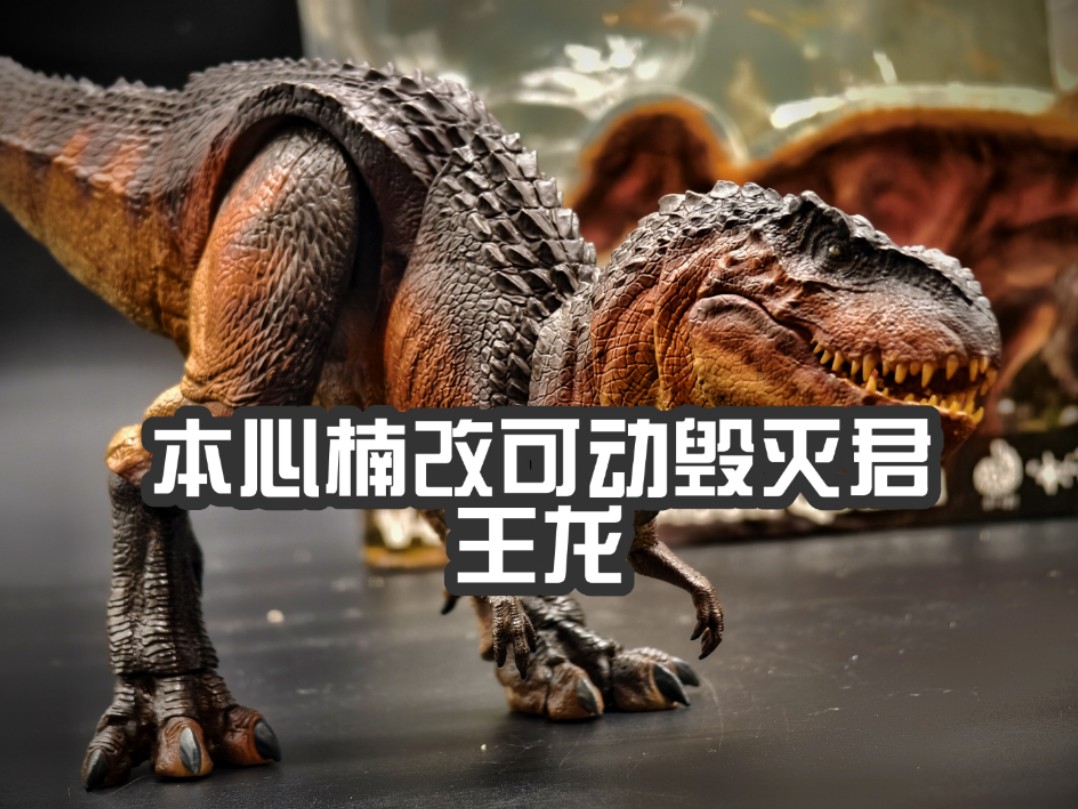 谨慎选择:本心楠可动毁灭君王龙,玩具评测揭秘