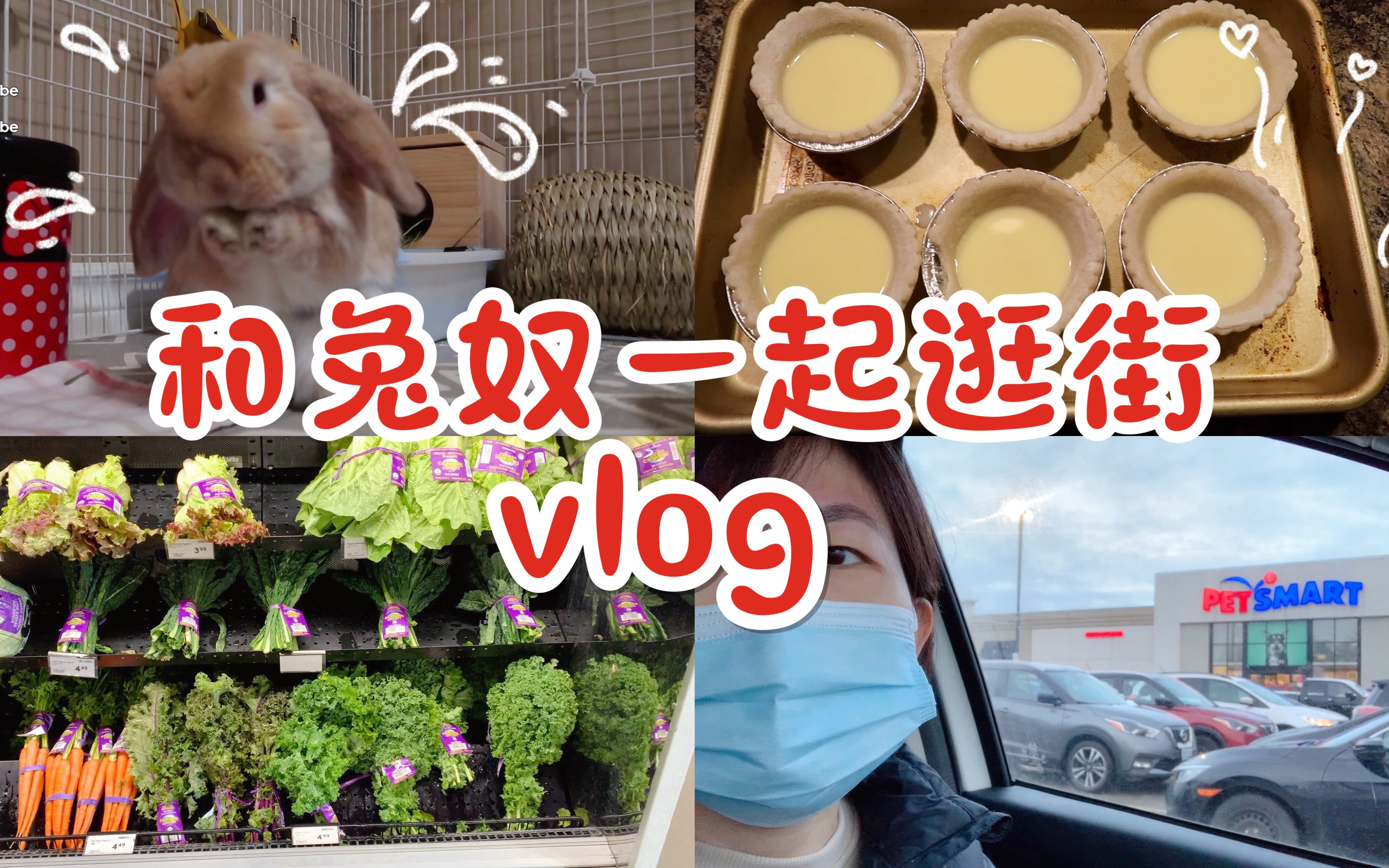 养兔vlog兔子能吃的蔬菜pet smart兔子用品哔哩哔哩bilibili