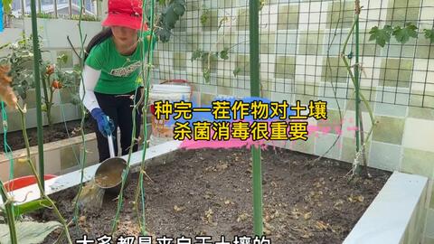 想要种的蔬菜少生病虫害对土壤的杀菌消毒非常重要 哔哩哔哩 Bilibili