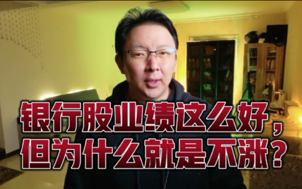 刘晖:价值投资者都有银行股,但银行股业绩好,为什么就是不涨?哔哩哔哩bilibili