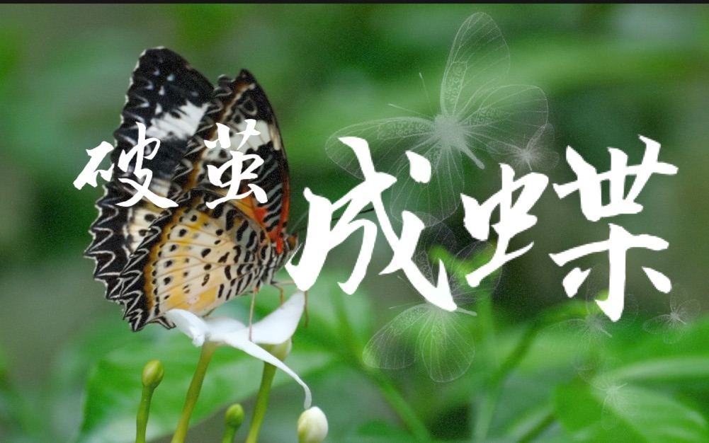 破茧成蝶|中山大学医学院微电影制作大赛|大学生自制微电影|医学生的