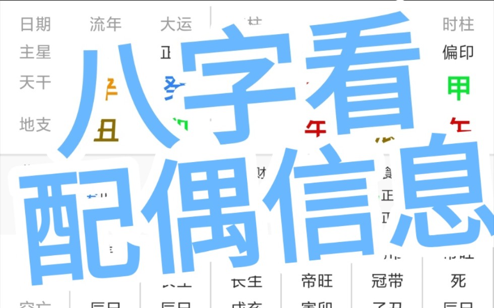 八字看,配偶信息哔哩哔哩bilibili