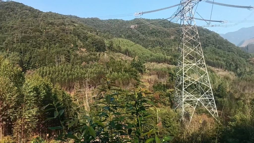 前朝金量官帽山,尤如雙龍戲珠,輔弼水來朝,明堂如掌心,緊八方水之財