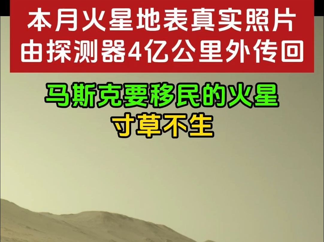 令人失望!探测器本月传回一座火星山丘的照片,毫无生命痕迹哔哩哔哩bilibili