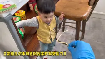 典典被折耳根逼得无处可逃～😂