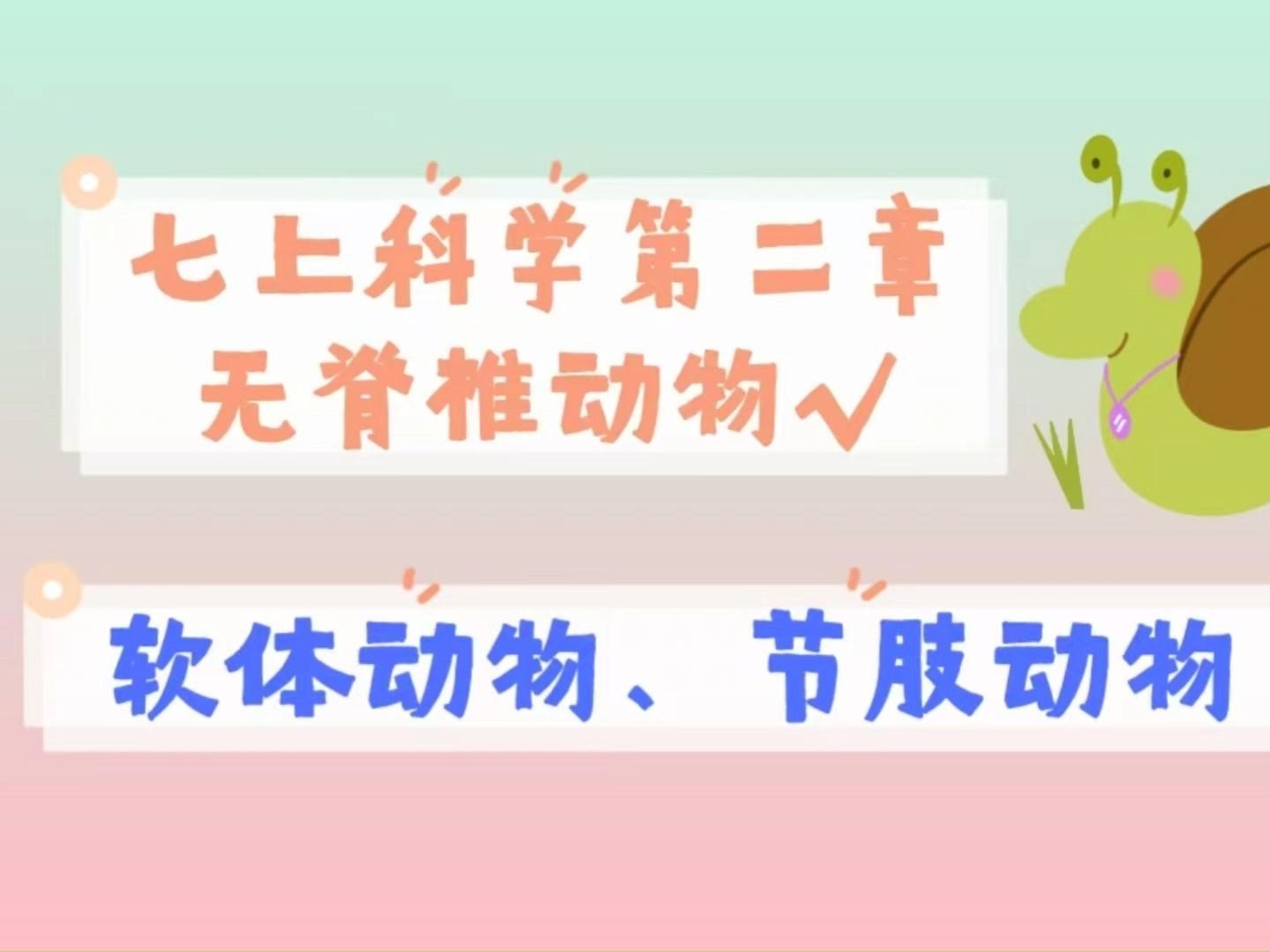 无脊椎动物中的脑力王者，无脊椎动物中的脑力王者是