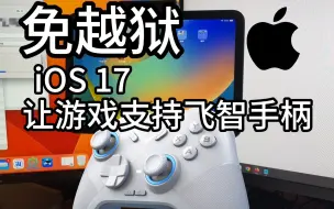 下载视频: 苹果iOS 17 免越狱！让游戏支持飞智手柄映射(王者荣耀/逆水寒/香肠派对/合金弹头等……)