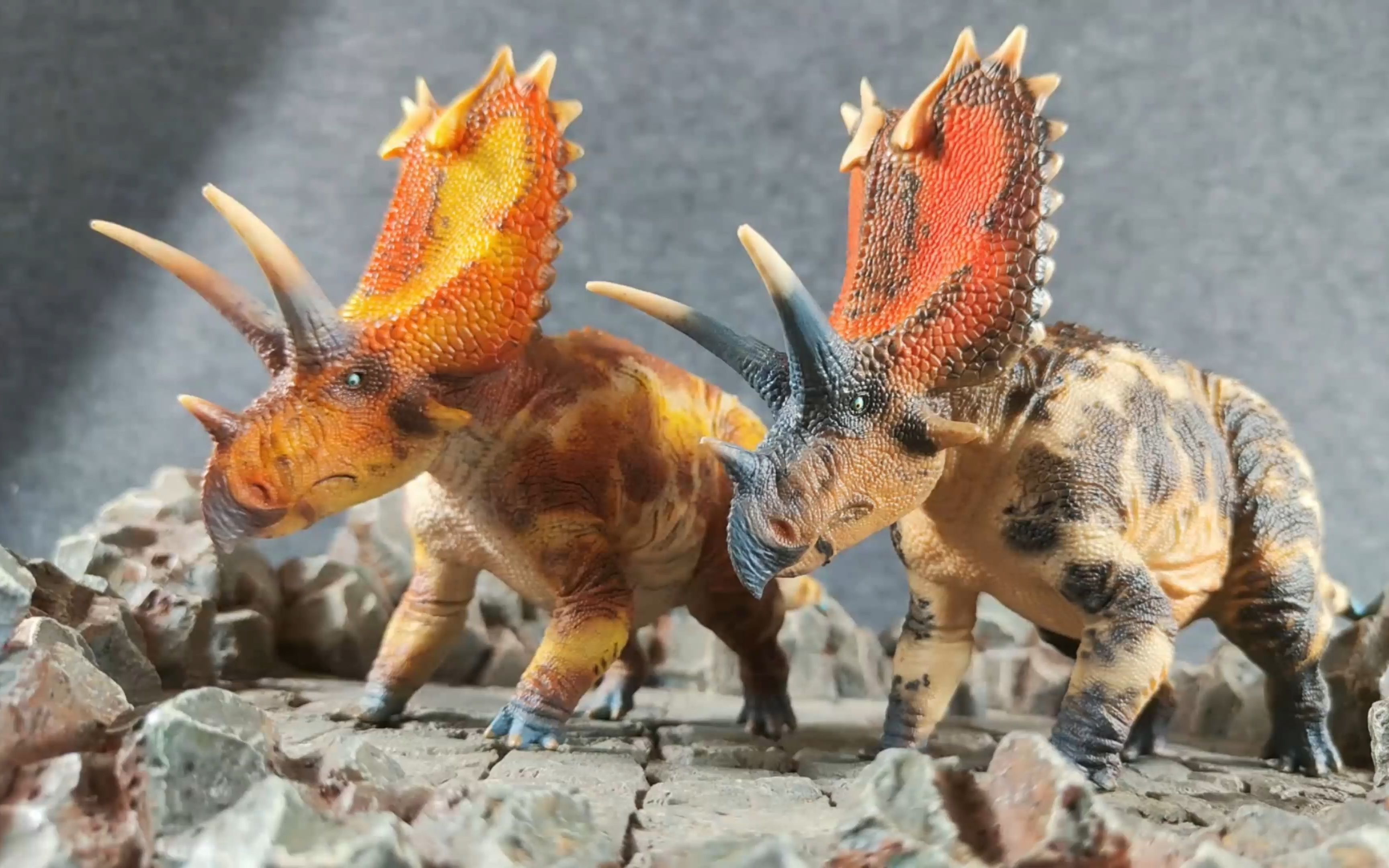 白垩纪食草恐龙!好龙谷 1/35 仿真恐龙模型 五角龙 刘唐/李逵