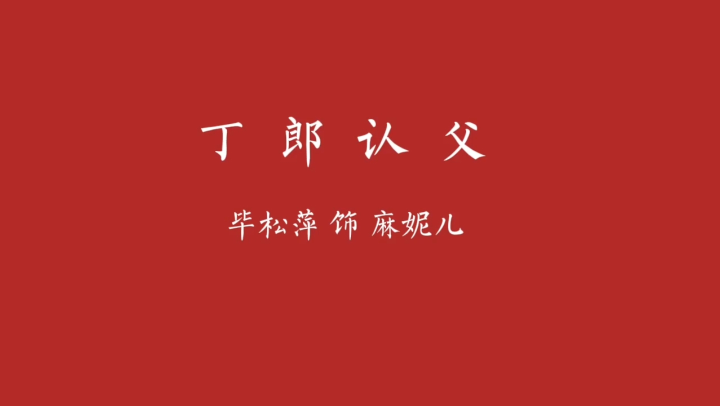 [图]河南曲剧：麻妮儿（毕松萍•丁郎认父，舞台版）