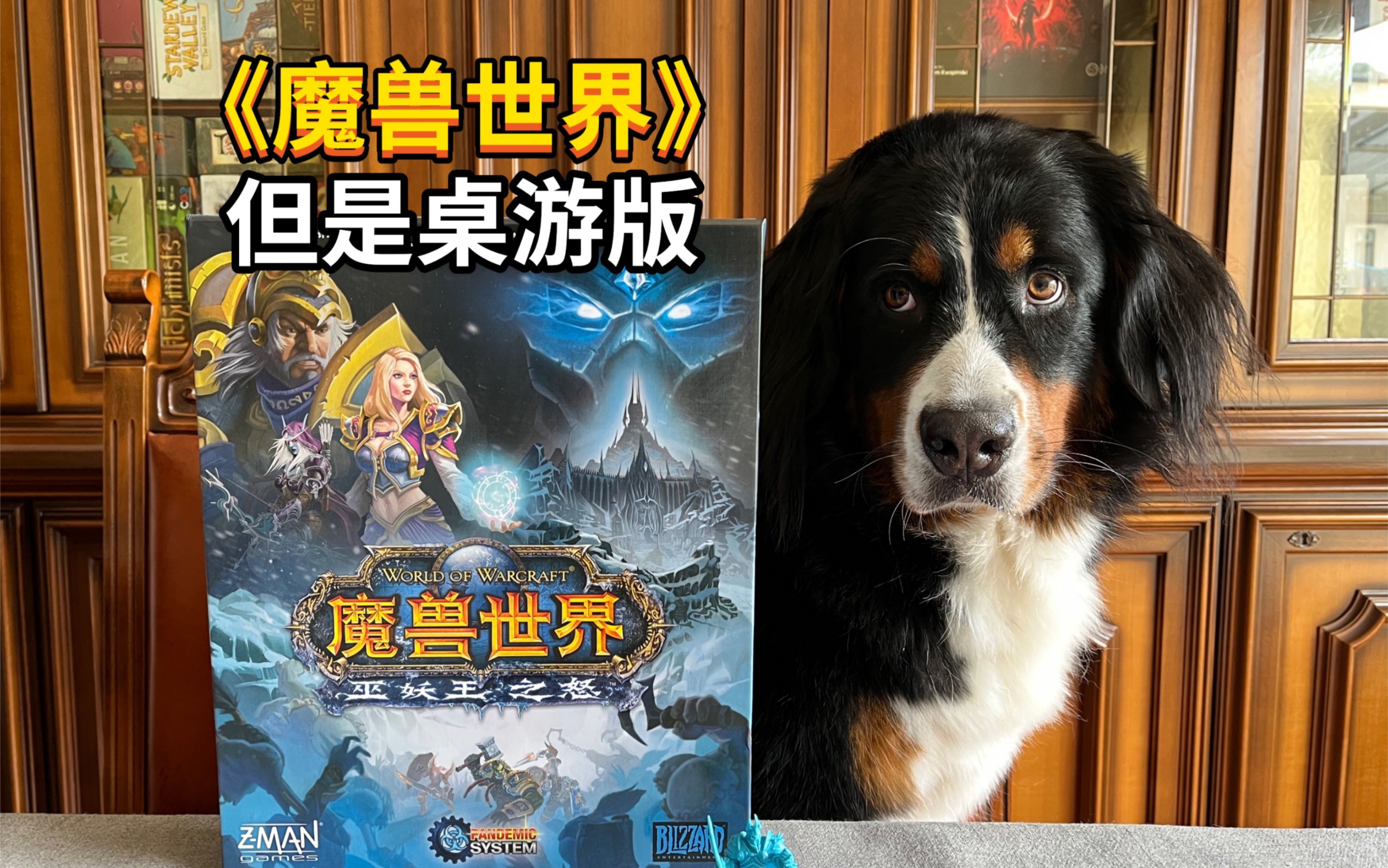 [图]【夏天桌游】规则教学 WOW《魔兽世界：巫妖王之怒》暴雪出品 但是桌游！