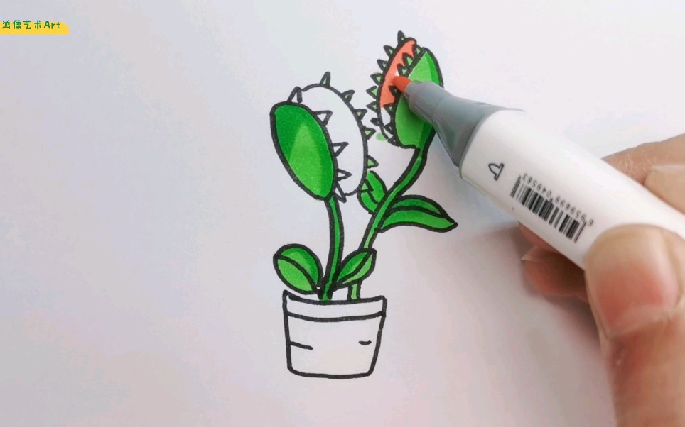 捕蝇草怎么画画法图片