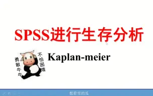 Download Video: SPSS进行KM生存分析-Kaplan meier生存分析法-生存分析详解