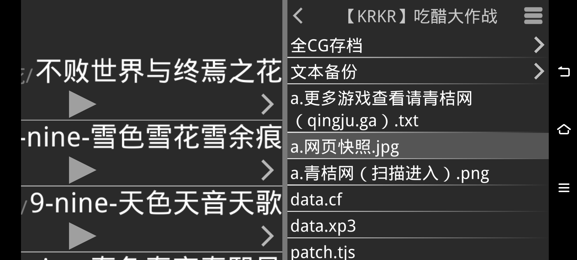 krkr模拟器最新版90系统