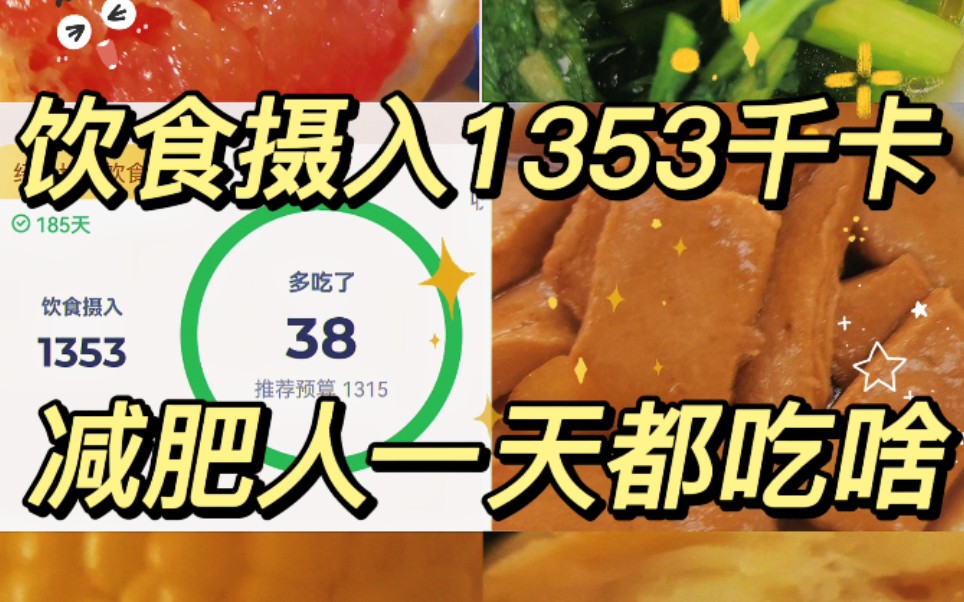 【饮食摄入1353千卡】一周打卡 记录饮食热量 减肥人三餐1353千卡 一天都吃啥哔哩哔哩bilibili