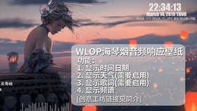 Wallpaper Engine自制动态壁纸 Hex改 4k 6枚 哔哩哔哩 つロ干杯 Bilibili