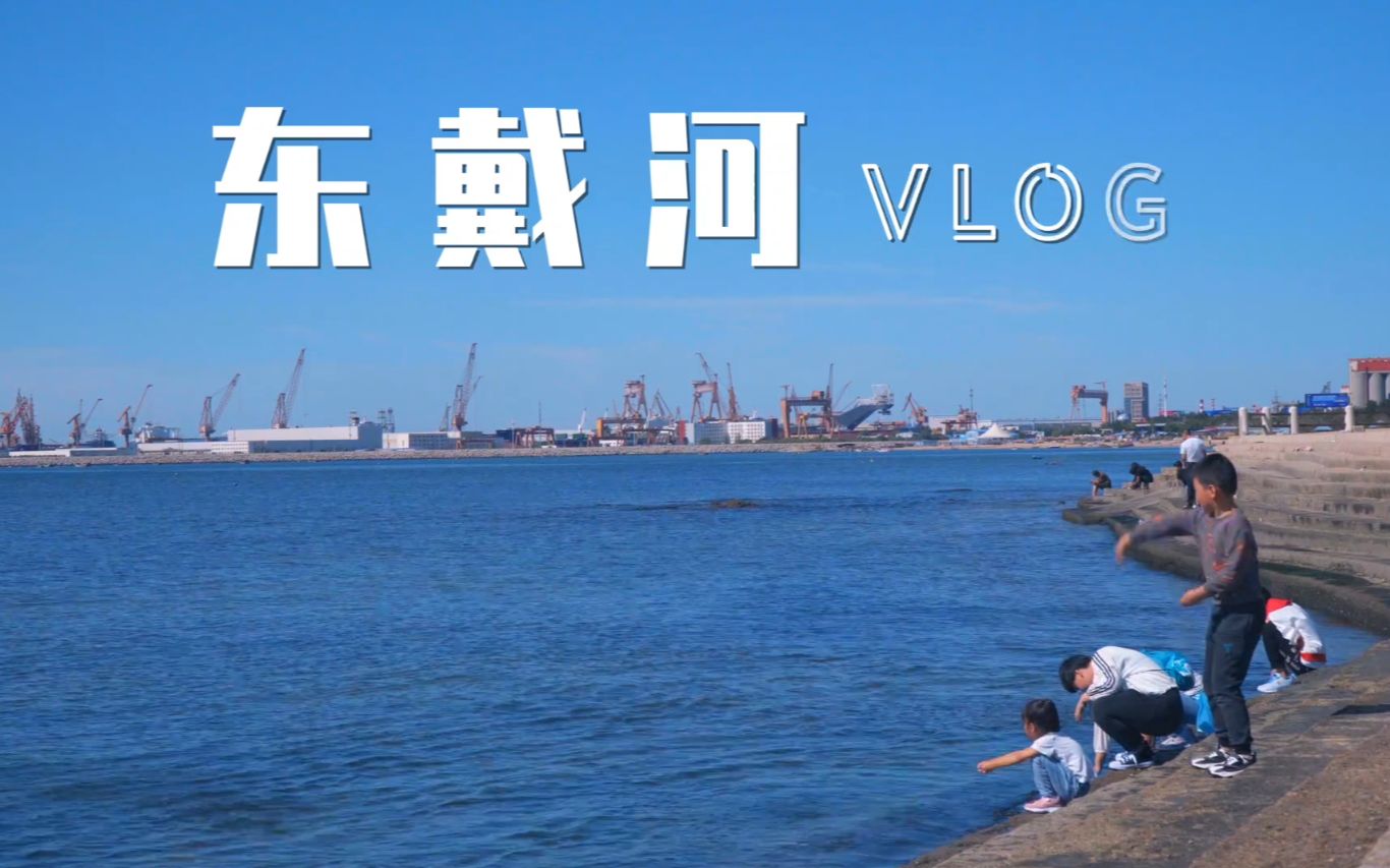 东戴河度假游记VLOG,大海沙滩还有孩子们的欢乐假期哔哩哔哩bilibili