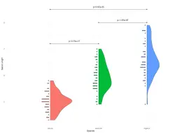 下载视频: R语言数据可视化系列3-连续变量与分类变量关系图示-小提琴图、箱线图-手动叠加建设检验显著性