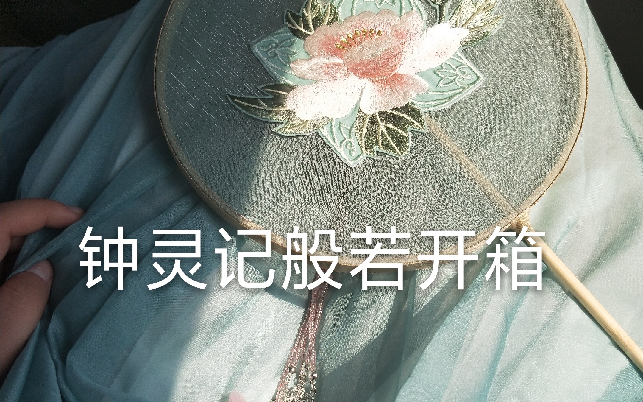 钟灵记家的般若开箱