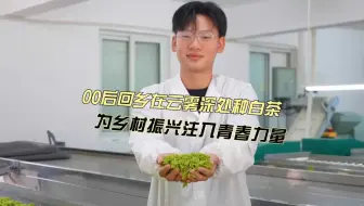 在浙里【市井星芒：#00后回乡种白茶为乡村振兴注入青春力量#】