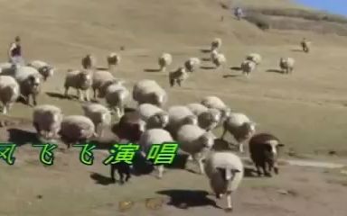 [图]鳳飛飛 -- 再会吧原野