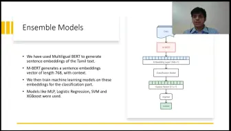 Optimize_Prime@DravidianLangTech-ACL2022：泰米尔语情感分析