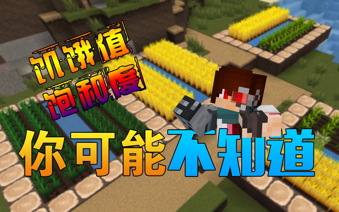 不知道《我的世界除了饥饿值还有饱和度》minecraft小知识 安逸菌解说
