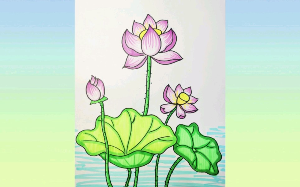 马克笔儿童画《荷花》