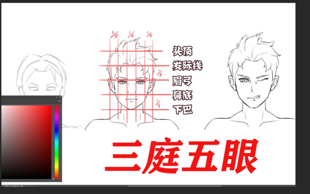 【绘画过程】小白必备三庭五眼画法 学到就是赚到哔哩哔哩bilibili