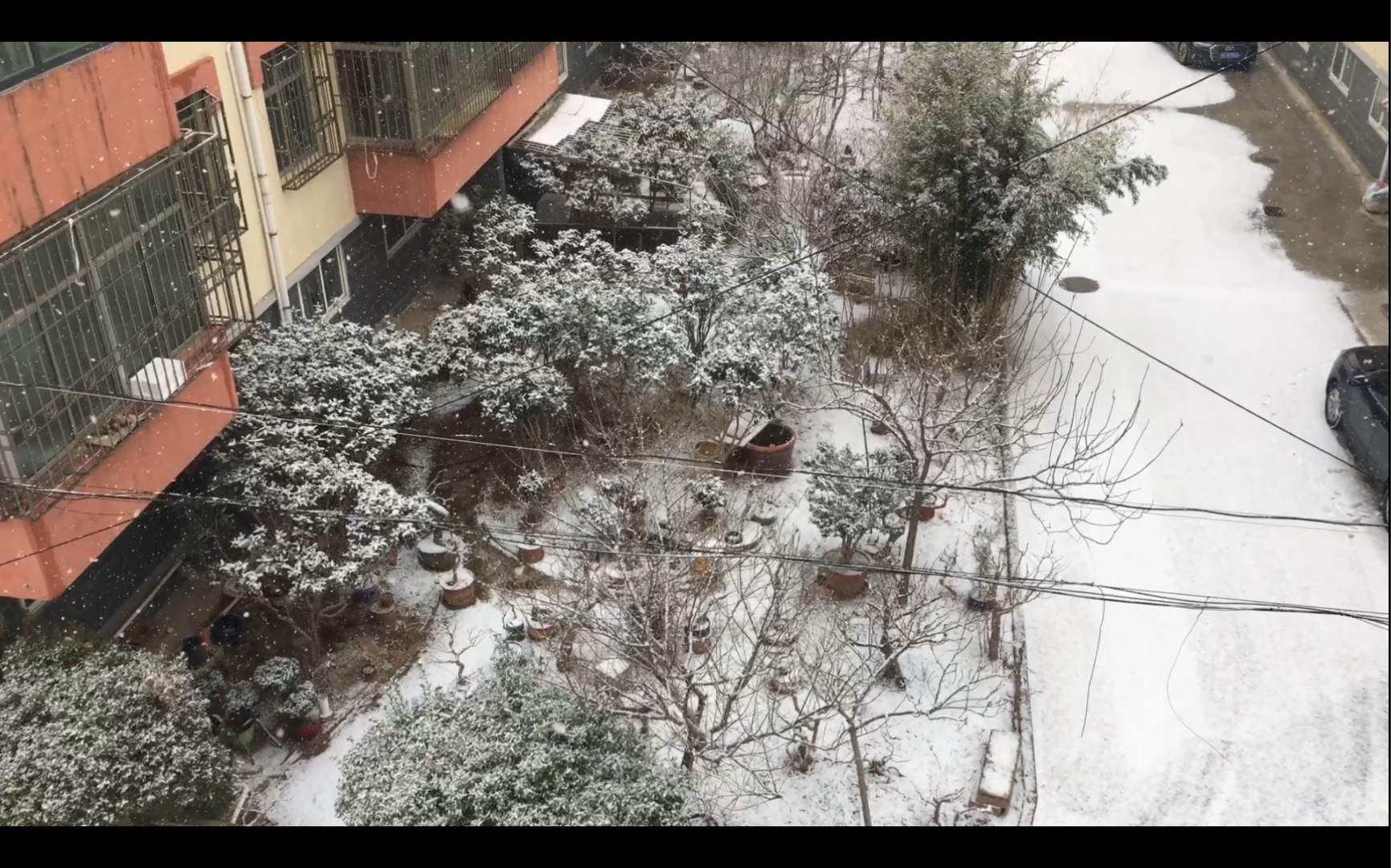 [图]瑞雪兆丰年了属于是