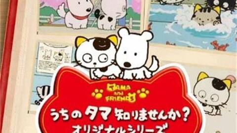 日语无字幕 猫狗宠物街 淘猫历险记 19 1994合集 渣画质预警 哔哩哔哩 Bilibili 日语无字幕 猫狗宠物街 淘猫历险记 19 1994合集 渣画质预警 哔哩哔哩 Bilibili