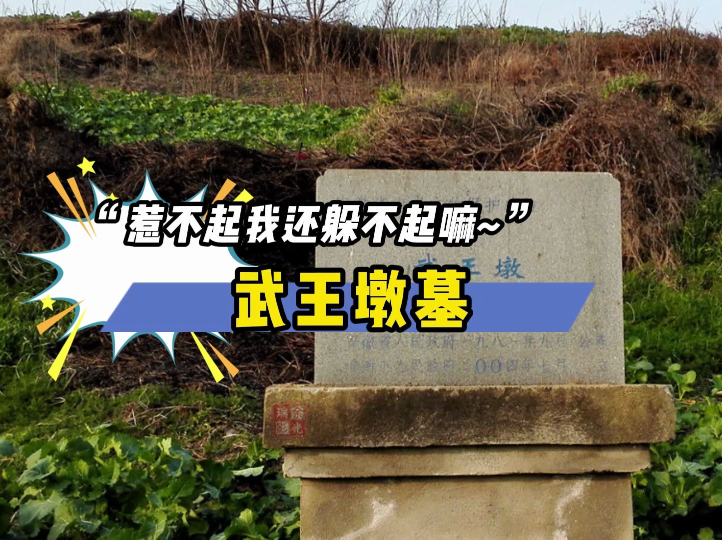 “惹不起我还躲不起嘛~”—武王墩墓,安徽的楚国王墓哔哩哔哩bilibili