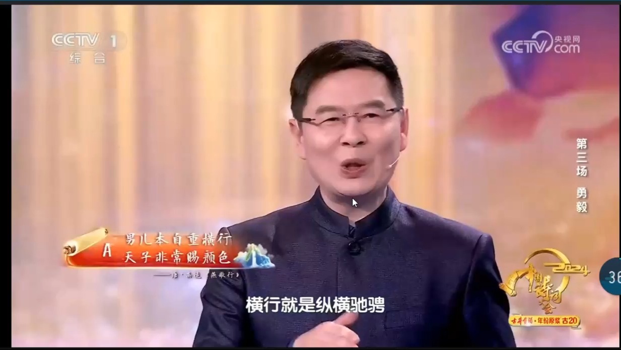 san1文化理论 自强不息中国诗词大会79
