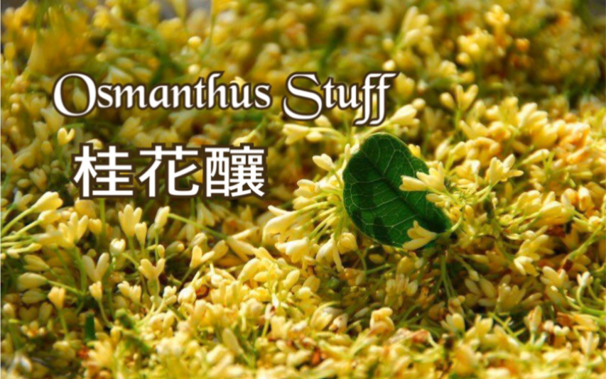 [图]人閒桂花落、自製桂花釀Osmanthus Stuff