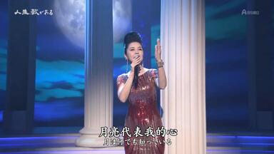 藤あや子 デビュー10周年記念リサイタル 花揺れて…十年 [VHS]