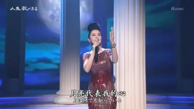 藤あや子 デビュー10周年記念リサイタル 花揺れて…十年 [VHS]