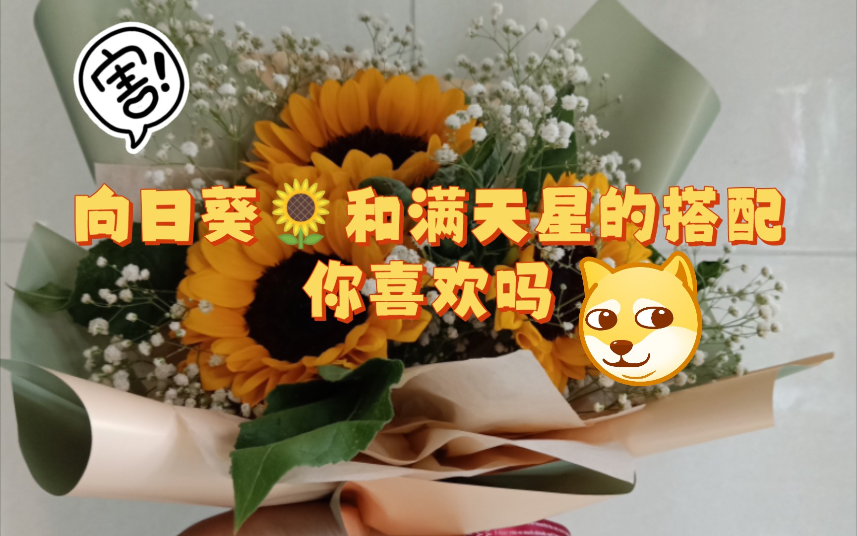 【鲜花】向日葵𐟌𛥒Œ满天星的搭配,你喜欢吗?包一束自己满意的花花.哔哩哔哩bilibili