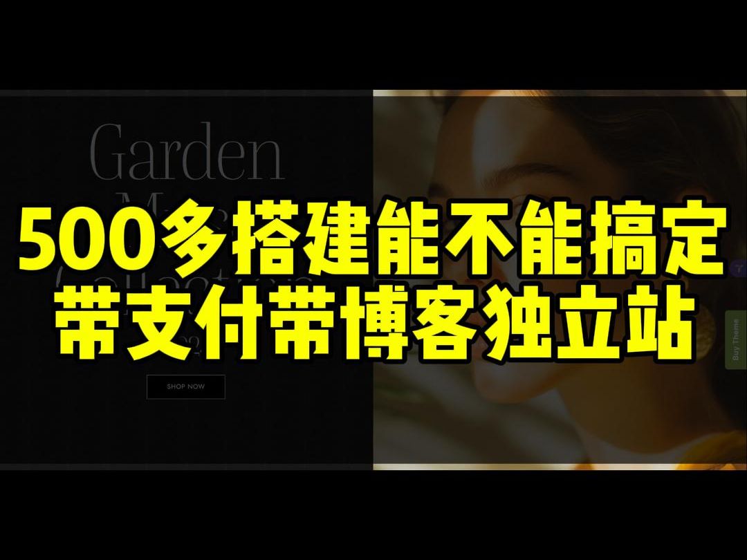 500多能不能搭建带支付带博客的外贸独立站哔哩哔哩bilibili