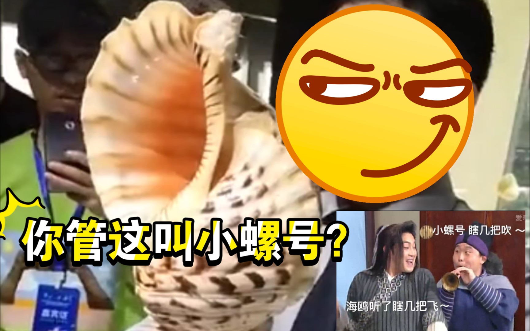 活动作品你管这叫小螺号