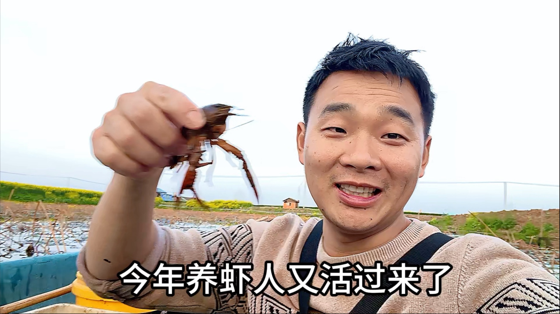 农村养龙虾真的会赚钱吗知乎(农村养殖小龙虾需要些什么条件)