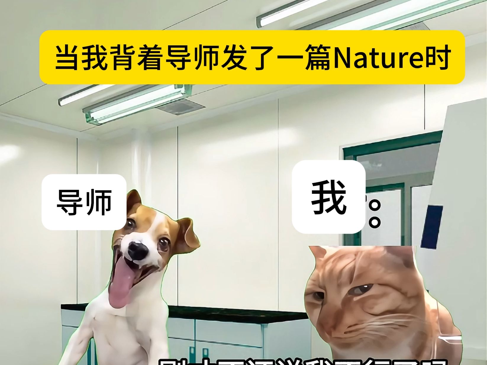 当我背着导师发了一篇Nature顶刊时哔哩哔哩bilibili