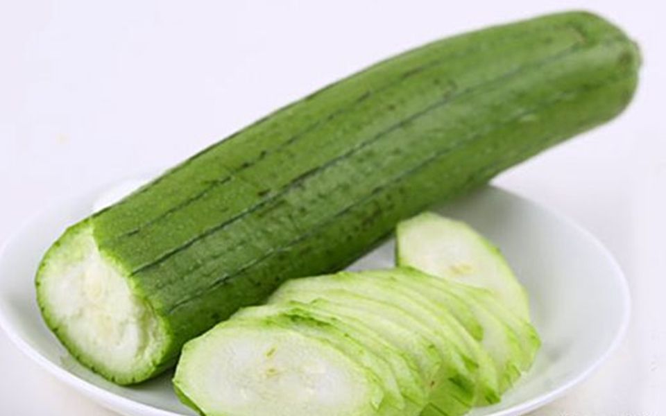 【mhxx】 猎猫日常 采集猫 g4 大丝瓜(恐暴龙)_哔哩哔哩 (゜-゜)つロ