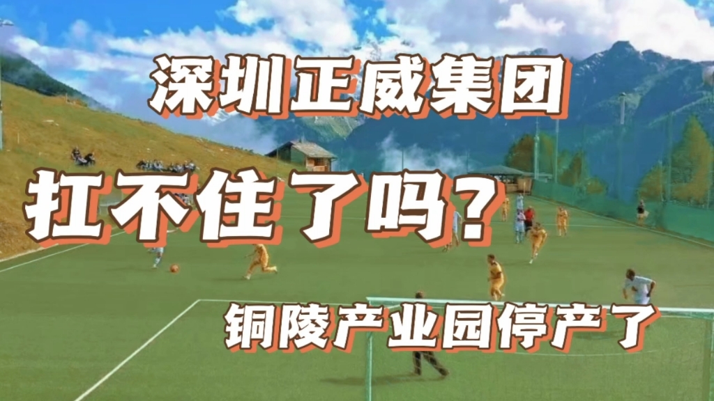 深圳正威最大产业园停产!一定要努力工作,保住了饭碗就是赢家哔哩哔哩bilibili