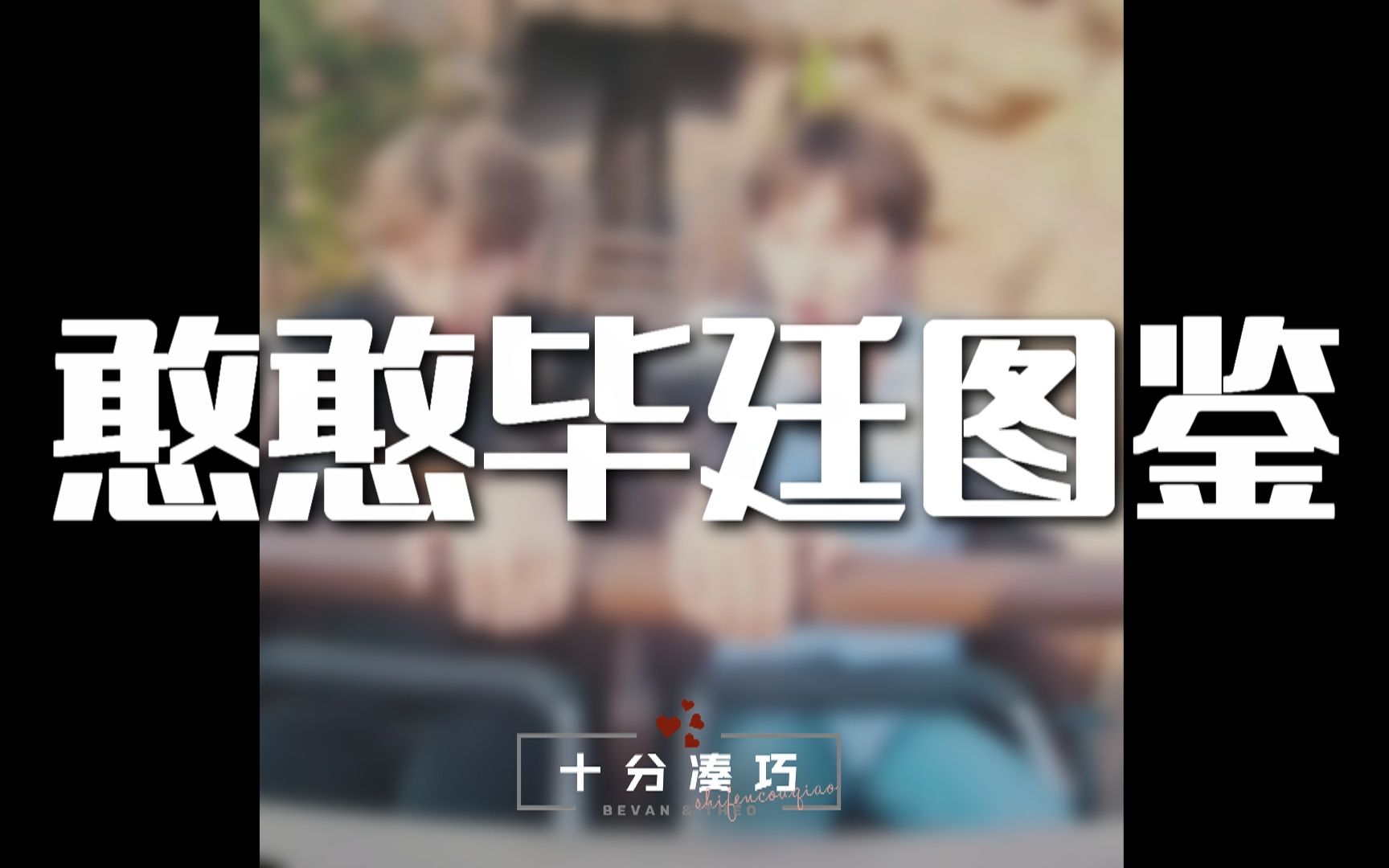 【毕廷】憨憨毕廷图鉴哔哩哔哩bilibili