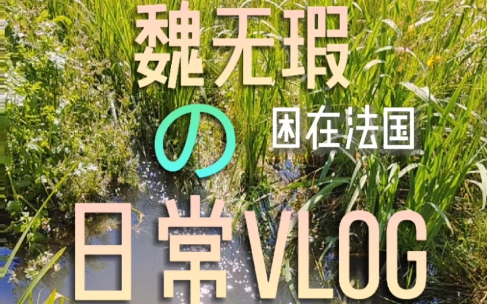 [魏无瑕の日常VLOG#3]又是困在法国的一天!今天我的中国朋友来陪我玩~哔哩哔哩bilibili