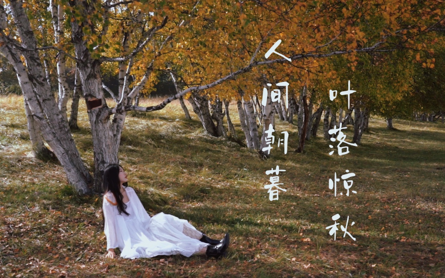 【坝上草原vlog】人间朝暮,叶落惊秋