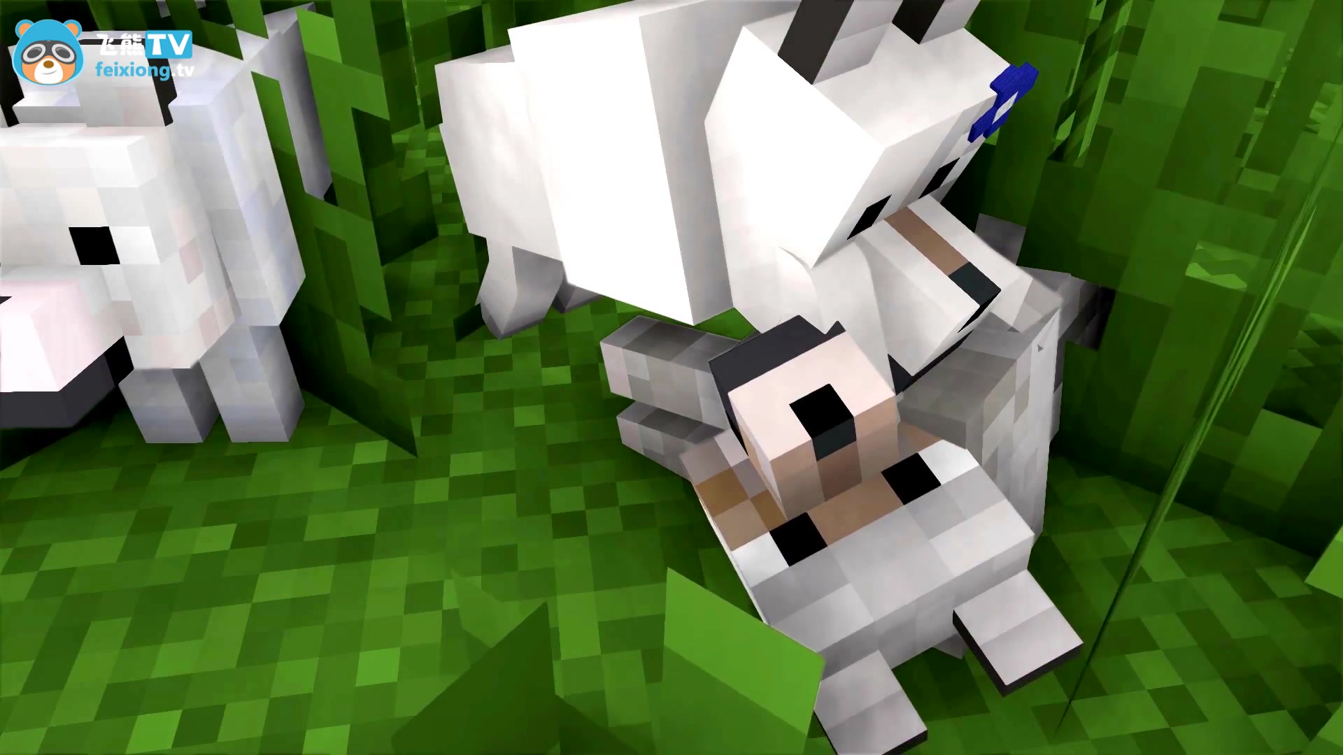 mc动画:与狼的一家走散-飞熊tv我的世界