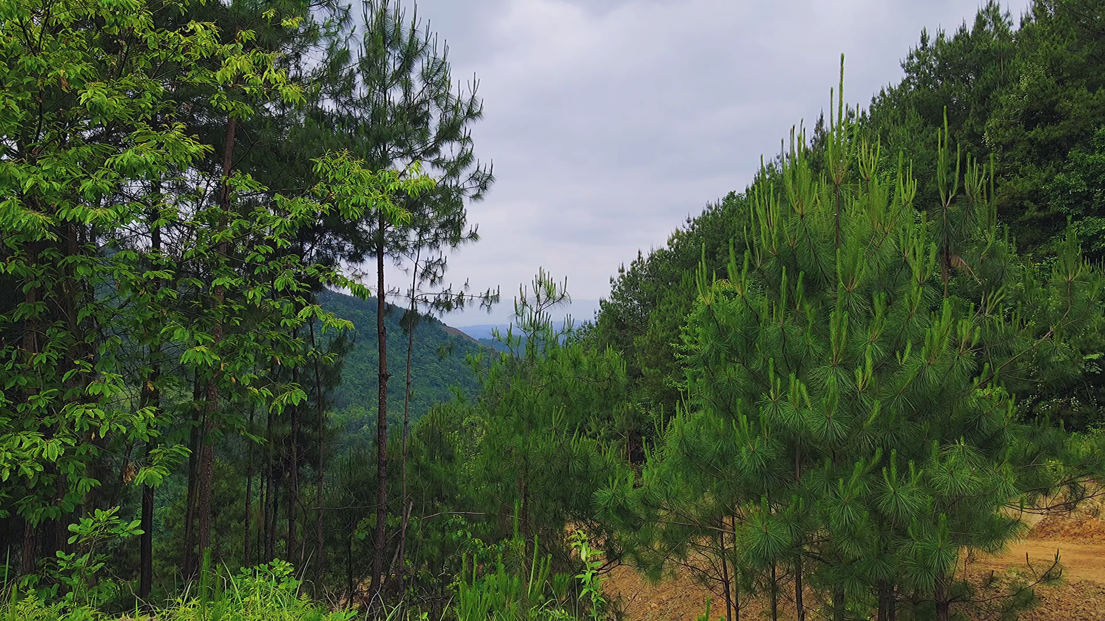 广福风景(32)航拍四川省达州市开江县广福镇风景